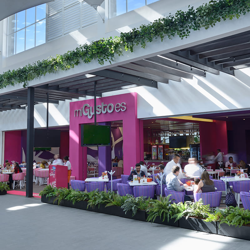 sucursal pachuca mi gusto es